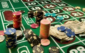 gbo338
